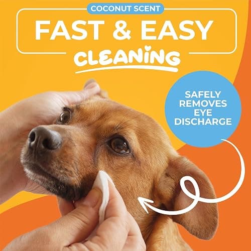 Paw Science Dog Eye Wipes - Hypoallergenic Eye & Face Wipes for Dogs, Cats, & Puppy - Pet Tear Stain Remover & Cleaner - Gently Cleans & Removes Discharge, Crust, & Gunk (Coconut) thumbnail 2