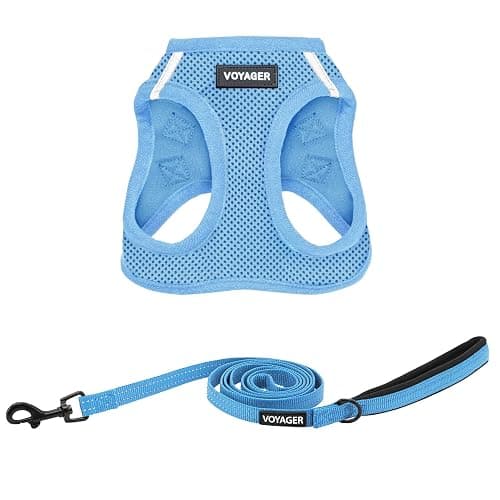 Best Pet Supplies Voyager Step-in Air All Weather Mesh Harness and Reflective Dog 5ft Leash Combo with Neoprene Handle, for Small, Medium and Large Breed Puppies - Baby Blue, XXX-Small - Image 1