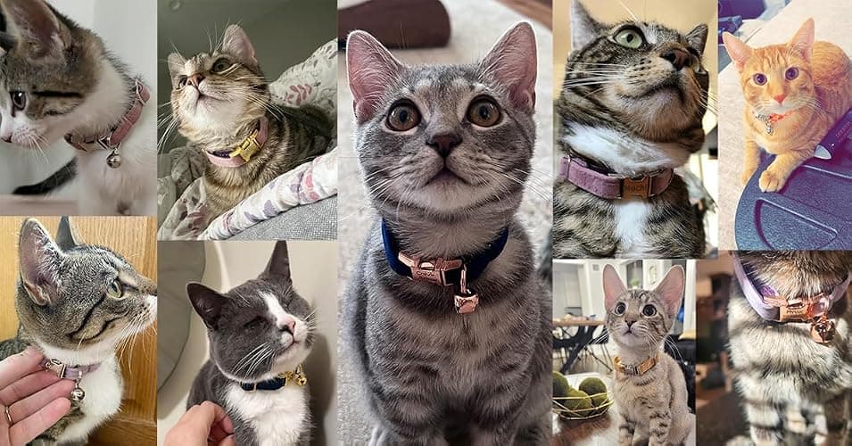 Personalized Cat Collar with Bells,Velvet Customized Small Cat Collar with Name Tag,Pet Collar with Name Phone Number Engraved ID Tags for Boy and Girl Kitten Cats (Cream) thumbnail 9