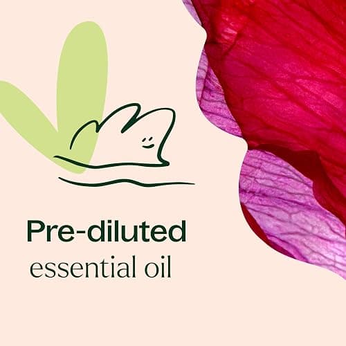 Plant Therapy Rose Absolute Pre-Diluted Essential Oil Perfume Roll-On 10 mL (1/3 oz) 100% Pure, Natural Aromatherapy, Therapeutic Grade thumbnail 5