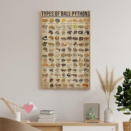 AMZPOSTERLN Vintage Snake Breeds Poster Knowledge Canvas Art Aesthetic And Wall Art Picture Decor Poster12x18inch(30x45cm) thumbnail 8