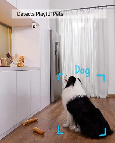 eufy Security Indoor Cam E220 2-Cam Kit, 2K Security Indoor Camera Pan & Tilt, Plug-in Camera with Wi-Fi, Human & Pet AI, Voice Assistant Compatibility, Motion Tracking, Homebase 3 Compatible thumbnail 3