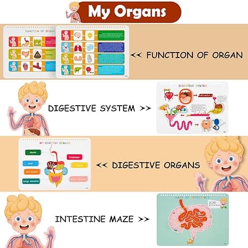 Freebear Montessori Busy Book for Kids, Human Body Anatomy Book for Toddlers, Preshool Kindergarten Learning Activities, Autism Sensory Toys, Travel Toys, Gifts for Girls and Boys 4 5 6 7 8 Years - Human structure 1 thumbnail 5