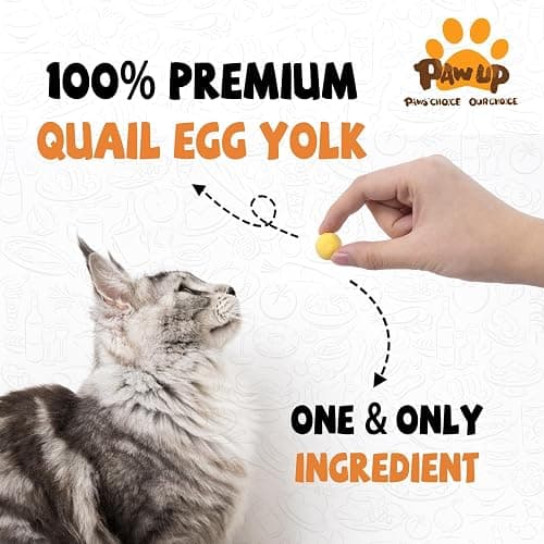 PAWUP Freeze Dried Quail Egg Yolk Pet Treats, Freeze-Dried Pet Food for Dogs, Cats, Pure Fresh Ingredient, 4.2 oz, Rawhide Free, Gluten&Grain Free thumbnail 2