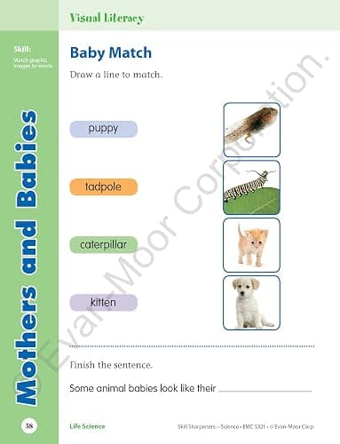 Evan-Moor Skill Sharpeners Science Workbook, Grade 1, Physical, Life, and Earth Science, Songs, Activities, Space, Animals and Eggs, Plants, Habitats, Recycling, Weather, Technology, Homeschool thumbnail 5