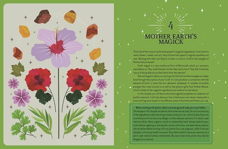 The Witch of the Forest's Guide to Earth Magick: Ground yourself with magick. Connect with the seasons in your life & in nature thumbnail 3