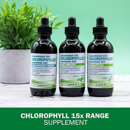 Liquid Chlorophyll Drops Mint 15X Concentrated 100ml - Detox - Alkaline - Natural Body Deodorant - Antioxidant - Cold Extracted from Non-GMO Alfalfa - Made in Canada thumbnail 7