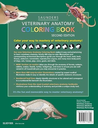 Veterinary Anatomy Coloring Book thumbnail 2