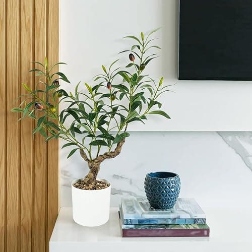 Caxchiling Artificial Olive Tree 2FT, Faux Potted Tree Indoor | Small Olive Tree with Lifelike Leaves and Fruits, Ideal for Tabletop, Desk, Shelf, Office, Kitchen and Living Room Decor thumbnail 7