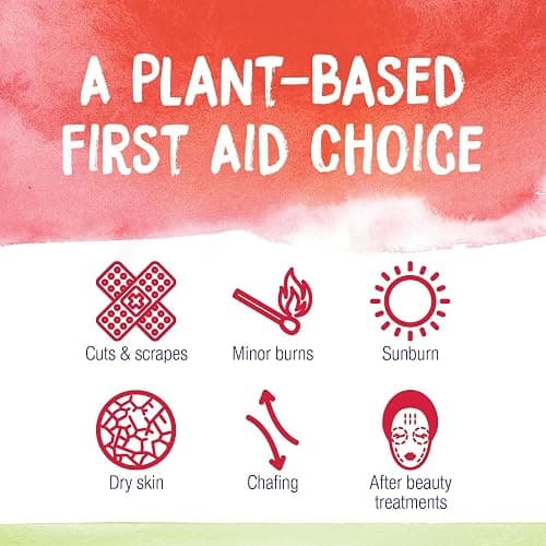 Boiron Calendula Cream for First Aid, Minor Burns, Cuts, Scrapes, Insect Bits and Sunburn - 2.5 oz thumbnail 2