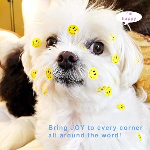 Hcode Happy Face Circle Dots Paper Labels Reward Stickers - Teachers Stickers, 500 Pieces per Roll (1.5 inch Yellow) thumbnail 5