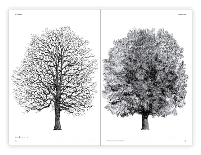 The Architecture of Trees thumbnail 14