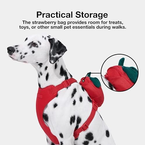 VETRESKA Strawberry Dog Harness and Leash Set, No Pull Dog Vest Harness for Small Dogs Cats, Walking and Training, Adjustable, Easy Control and Soft Padded Pet Harness and Backpack (XS) thumbnail 2