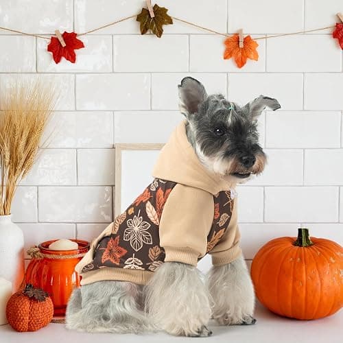 KOOLTAIL Fall Dog Hoodie with Autumn Maple Leaf Pattern for Small Medium Large Dogs -Thanksgiving Pet Sweater Sweatshirt Warm Cold Weather Clothes with Leash Hole and Pocket for Puppy Male/Female M thumbnail 8