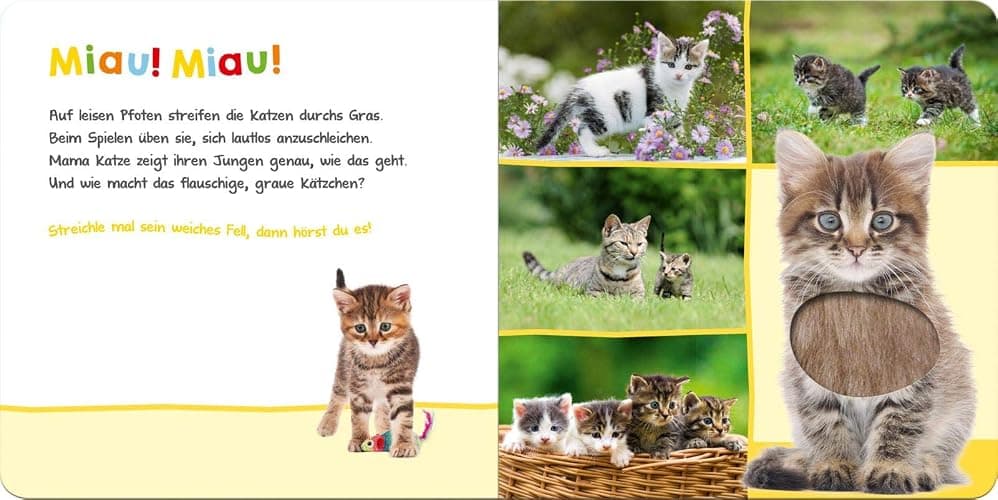 Hör mal rein, wer kann das sein? – Lieblingstiere: Streicheln und hören | Hochwertiges Pappbilderbuch mit 5 Sounds und Fühlelementen für Kinder ab 6 Monaten thumbnail 4