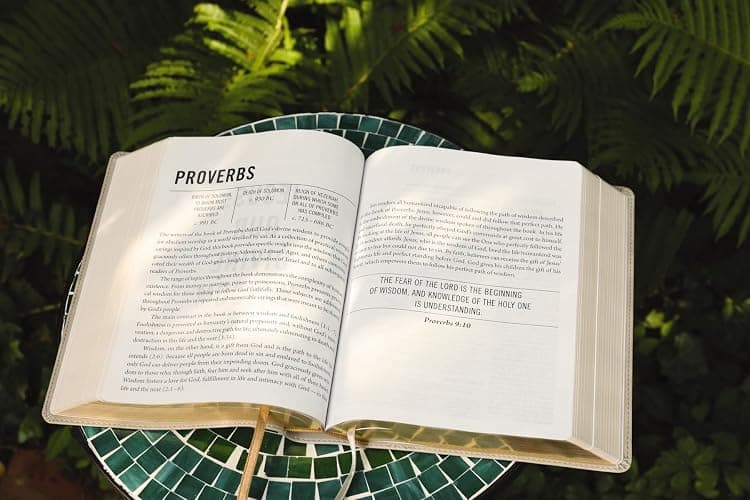 The Jesus Bible, NIV Edition, Leathersoft, Stone, Comfort Print thumbnail 8