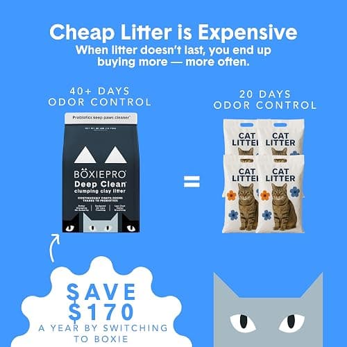 Boxie Probiotic Cat Litter, 40 Day Odor Control, Clumping Clay Kitty Litter, Odor Eliminating Probiotics, Dust-Free, No Fragrances No Fillers, 28 lb thumbnail 3