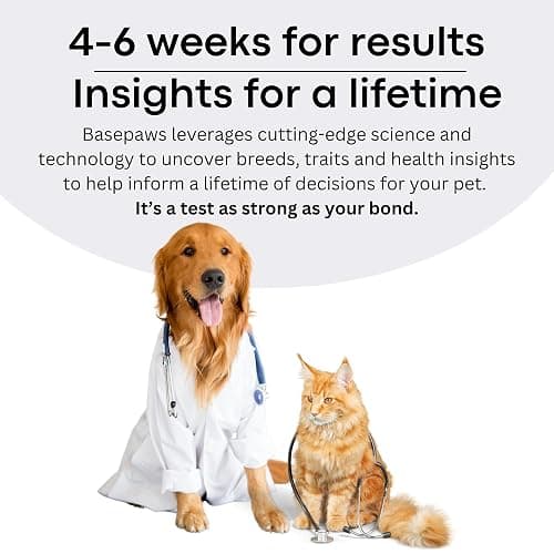 Basepaws Cat DNA Test Kit - Comprehensive Breed, Health and Dental Analysis Across 114 Traits for Accurate and Easy-to-Use Genetic Insights - Cat Breed + Health DNA Test - Basic thumbnail 9