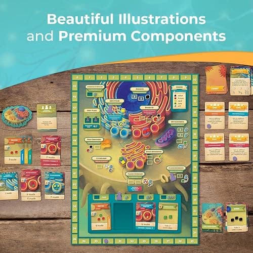 Cytosis: A Cell Biology Board Game | A Science Accurate Strategy Board Game About Building Proteins, Carbohydrates, Enzymes, Organelles, & Membranes | Fun Science Games for Adults & Family Game Night thumbnail 6