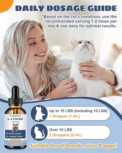 SANTKOL L-Lysine Supplement for Cats - Immune Support - 60ML Lysine for Feline Respiratory, Sneezing, Runny Nose, Eye Function - Natural Cat Antibiotic Drops - Roast Chicken Flavor thumbnail 7