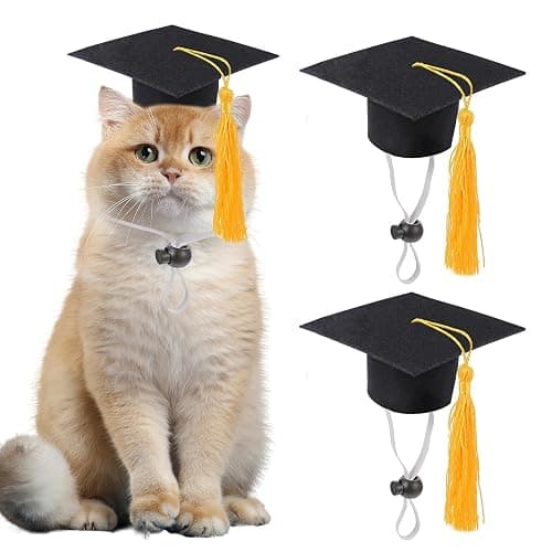 Cat Graduation Caps - Image 1