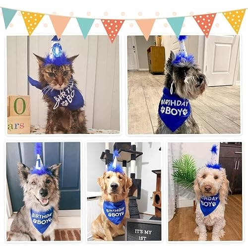 BINGPET Dog Birthday Party Supplies,Dog Birthday Hat Bandana Set,Soft Birthday Boy Triangle Scarf and Number Hat, Cute Birthday Party Supplies with 0-8 Figures for Small Medium Large Dogs Pets thumbnail 6