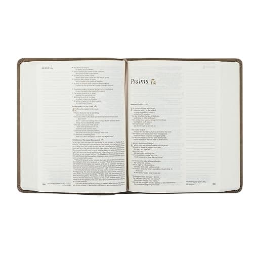 Hosanna Revival, New Living Translation, Notetaking Bible, Wide Margins, Taupe Leather-like Cover with Floral Design, Title: Marlo Theme thumbnail 6