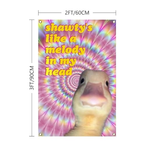 Duck Flag Shawty's Like A Melody In My Head Funny Flags 2x3Ft with Brass Grommets Meme Banner for College Dorm Room Man Cave Parties Decoration thumbnail 3