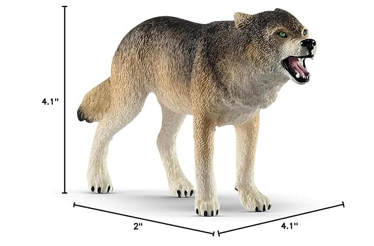 Schleich Wild Life Realistic Prowling Gray Wolf Figurine - Durable North American Forest Animal Figure for Kids, Perfect Toy for Fun and Imaginative Adventures, Gift for Boys and Girls Ages 3+ thumbnail 2