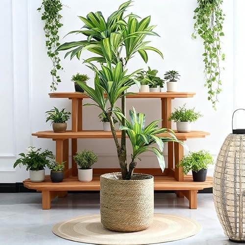 PotSonntag 14 inch Large Seagrass Woven Planter Basket - Wicker Planter Basket with Plastic Film Insert for Indoor Plants, Large Monstera Pot, Woven Storage Basket, Boho Home Decor (Large) - Image 1