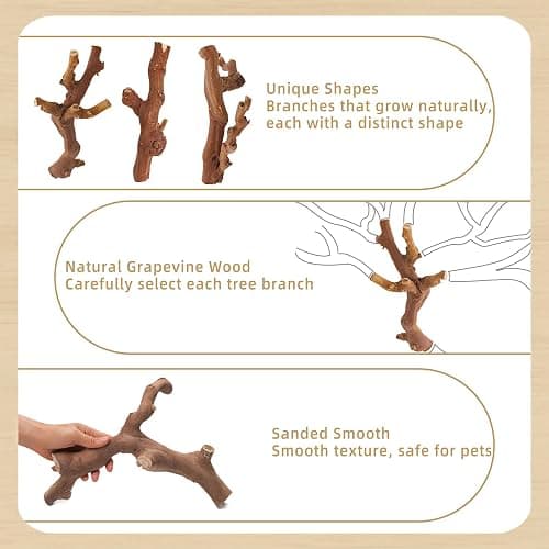 kathson 2PCS Wood Hamster Climbing Branches Decor, Natural Wooden Syrian Hamster Climb Chewing Toys, Rat Exercise Toys, Small Animal Habitat Decor Accessories for Dwarf Pets, Gerbils, Mice (5.9 in) thumbnail 3