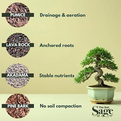 5 Qt Premium Bonsai Mix with Akadama | High Drainage Potting - USA Made thumbnail 5