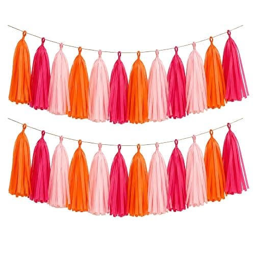 AimtoHome 15PCS Tissue Paper Tassel Garland,Hot Pink Pink Orange | Streamer Banner for Sunset Party, Birthday, Baby Shower, Graduation, Bachelorette, Classroom Hanging Decoration - Image 1