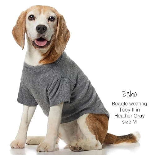 Pet Passion Toby II - The Perfect Tee, 3 Pack Short Sleeve Pet T-Shirt 100% Organic Cotton Tees Clothes for Small, Medium, Large Dogs​​, Gray Ombre, Medium (20-45 lbs) thumbnail 4