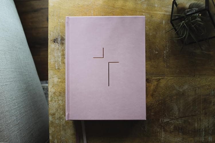 The Jesus Bible, ESV Edition, Leathersoft over Board, Pink thumbnail 2