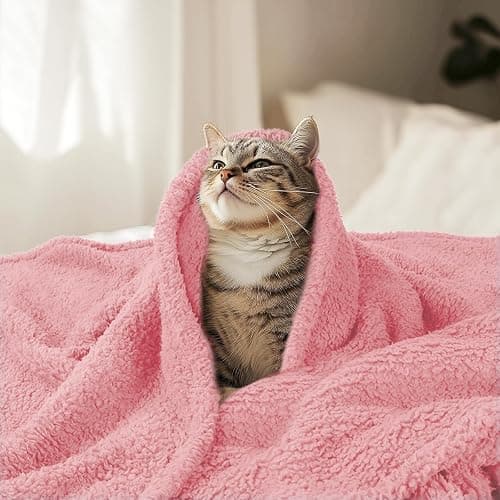 Luciphia Premium Fleece Pet Blanket for Small Medium Dogs Puppy Soft Sherpa Calming Cat Throw Blankets(Pink,30x20 inches) thumbnail 6
