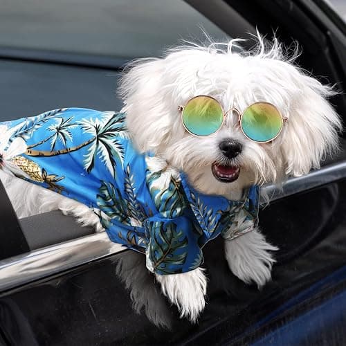 3 Pieces Pet Dog Hawaiian Costume, Includes Puppy Cool T-Shirts Summer Clothes, Funny Cute Dog Retro Fashion Sunglasses and a Colorful Wreath for Small to Medium pet(Blue Series) thumbnail 6