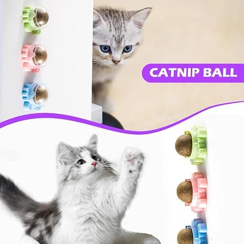 Kadays Catnip Balls for Indoor Cats 4 Pack Wall Mounted Rotatable Cat Toys Teeth Cleaning and Stress Relief Adhesive Catnip Stick on Wall Toys Interactive Chew for Kittens Play Entertainment thumbnail 8