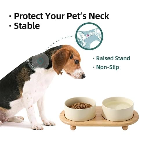Havniva Raised Cat Bowls Water Bowl 6.1” Elevated Ceramic Cat Food and Water Bowl Whisker Friendly Pet Food Bowls for Indoor Cats, Wide Cat Water Dish Prevent Whisker Fatigue Non Slip Cat Feeder thumbnail 5