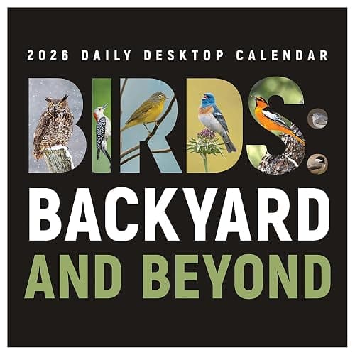 TF Publishing 2026 Birds: Backyard & Beyond Daily Desktop Calendar - Home and Office Organization - Small Desk Calendar 2026 w/Full-Color Tear-Off Pages and Standing Cardboard Easel - 5.25in x 5.25in thumbnail 3