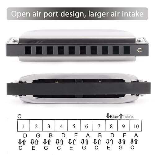 SWAN Blues Harmonica C Key for Kids Adults, 10 Hole Diatonic Harmonica Key of C, Metal Blues Harp for Beginners Students, Mouth Organ in Case, Silver thumbnail 4