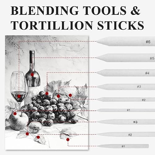 Aenir Blending Stumps for Drawing, Tortillons Blending Stumps Set of 13 Pack with Sandpaper Pencil Sharpener, Paper Art Blenders Tools for Charcoal, Graphite, Drawing Tools for Artists. (13) thumbnail 4