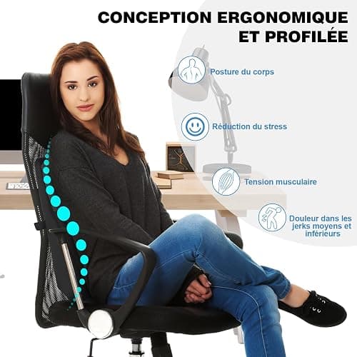 Quirlig Coussin Lombaire Voiture, Coussin de Soutien Lombaire, Mousse à Mémoire de Forme Coussin Dorsal Ergonomique pour Bureau Chaise, Noir thumbnail 4