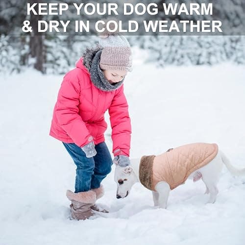 BEAUTYZOO Winter Dog Coat with Harness Built in, Warm Dog Puffer Jacket Vest Padded Fleece Cold Weather Coats Windproof Waterproof Snow Jackets Clothes for Small Medium Puppy, Pink L thumbnail 6