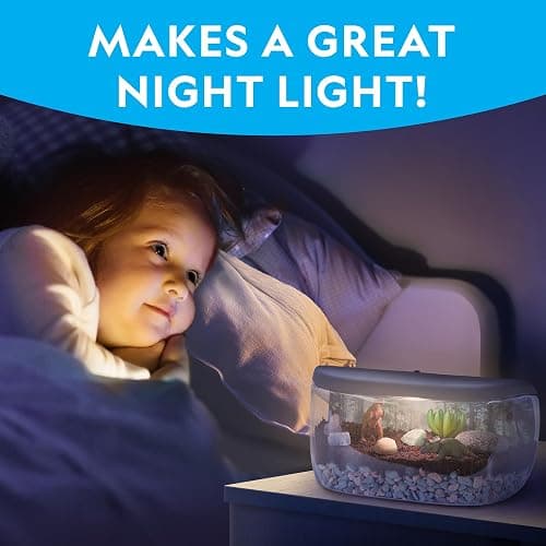 National Geographic Light Up Terrarium Kit for Kids - Build a Dinosaur Habitat with Real Plants & Gemstones, Science Kit, Dinosaur Toys for Kids (Amazon Exclusive) thumbnail 4