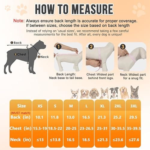 Lukovee Dog Raincoat, Adjustable Dog Rain Jacket with Clear Hooded Double Layer for Large Medium Small Dogs Puppies, Waterproof Rain Coat Poncho with Reflective Storage Pocket & Rim (Yellow, XXL) thumbnail 2