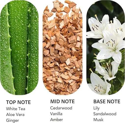 Luxury Hotel Scent Dream On Diffuser Oil, White Tea & Lily, 20ml | Fresh white tea, aloe vera, lily, and sandalwood notes for home, office, hotel, and DIY diffuser use. thumbnail 2