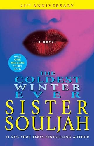 The Coldest Winter Ever: A Novel (The Winter Santiaga Series) - Image 1