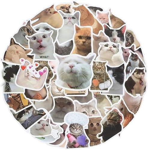 100 PCS Cute Cat Stickers, Funny Meme Cat Stickers Pack, Waterproof Vinyl Stickers for Kindle Water Bottles Skateboard Guitar Snowboard Luggage for Cat Lovers thumbnail 3