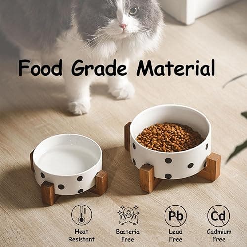 Petygooing Ceramic Dog Bowl Set with Stand, Small Pet Bowls, Anti-Slip Cat & Dog Food and Water Bowl Set (13.5OZ/5.1 in) Black Dot thumbnail 2